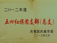 2012年五四紅旗團(tuán)支部（總支）獎(jiǎng)