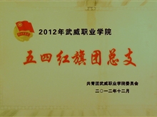 2012年五四紅旗團(tuán)總支